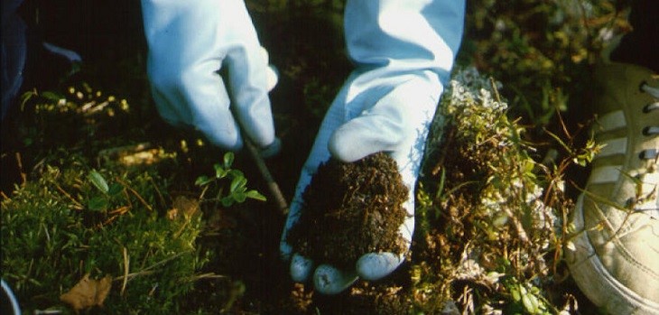 Методы проведения экологического контроля почв